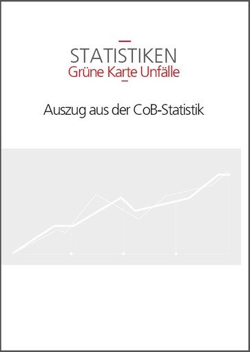 Grüne Karte Unfälle - Auszug aus der CoB-Statistik