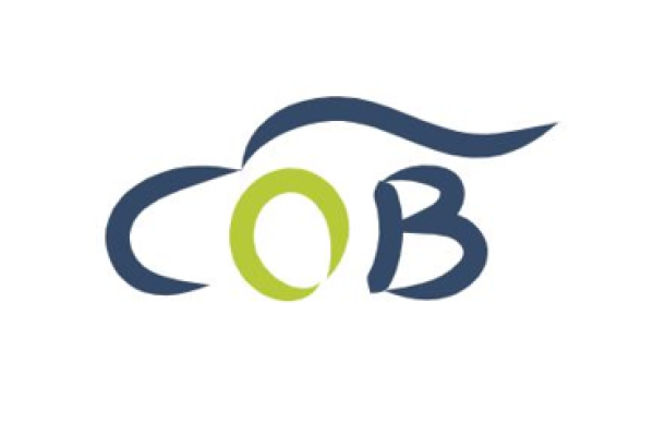 Screenshot 2026-02-11 142916